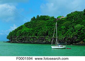 Stock Photo - dream beach and 
palms, landscape, 
boat, sea, escape, 
guyana. fotosearch 
- search stock 
photos, pictures, 
images, and photo 
clipart