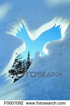 Stock Photo - france, alps, 
valloire, symbolic 
bird. fotosearch 
- search stock 
photos, pictures, 
images, and photo 
clipart