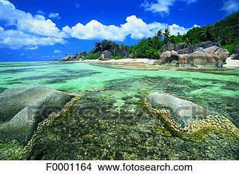 Stock Photo - seychelles, source 
d'argent handle, 
beach and granite. 
fotosearch - search 
stock photos, 
pictures, images, 
and photo clipart