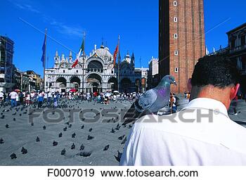Stock Photograph - italy, venice, 
saint mark square 
and the basilica. 
fotosearch - search 
stock photos, 
pictures, images, 
and photo clipart