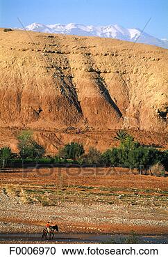 Stock Photography - morocco, high 
atlas, near ait 
ben haddou, fording 
a river on mulets. 
fotosearch - search 
stock photos, 
pictures, images, 
and photo clipart