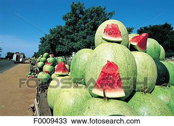 Banco de Imagem - senegal,  saly, 
 pequeno,  costa, 
 vender,  watermellon. 
fotosearch - busca 
de fotos, imagens 
e clipart