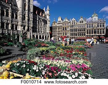 Stock Photo - grand place, flower 
market. fotosearch 
- search stock 
photos, pictures, 
images, and photo 
clipart