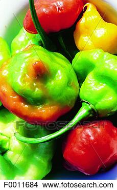 Stock Photo - jamaica, kingston 
market, red and 
green peppers. 
fotosearch - search 
stock photos, 
pictures, images, 
and photo clipart