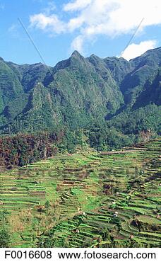 Stock Photo - portugal, madeira, 
serra de agua. 
fotosearch - search 
stock photos, 
pictures, images, 
and photo clipart