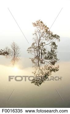Stock Image - china, taiwan, 
sun moon lake. 
fotosearch - search 
stock photos, 
pictures, images, 
and photo clipart