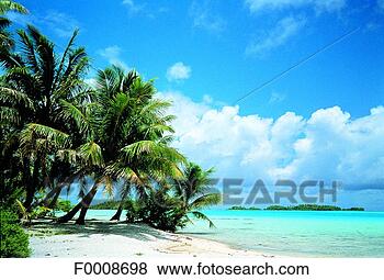 Stock Photo - french polynesia, 
tuamotus archipelago, 
takapoto. fotosearch 
- search stock 
photos, pictures, 
images, and photo 
clipart
