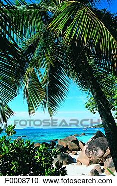 Stock Photography - seychelles, praslin 
island, beach 
and granite rocks. 
fotosearch - search 
stock photos, 
pictures, images, 
and photo clipart
