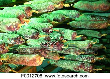 Stock Photo - corsica, castigniccia, 
piedicroce, local 
charcuterie plate. 
fotosearch - search 
stock photos, 
pictures, images, 
and photo clipart