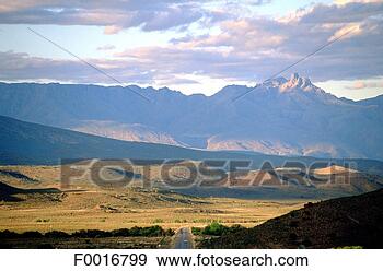 Stock Photograph - south africa, 
little karoo, 
oudtshorn, ostrish 
farm. fotosearch 
- search stock 
photos, pictures, 
images, and photo 
clipart