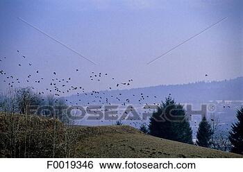 Stock Photo - france, franche 
comté, lake st 
point. fotosearch 
- search stock 
photos, pictures, 
images, and photo 
clipart