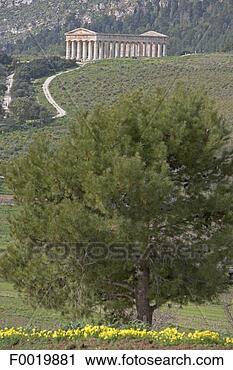 Stock Photography - italy, sicily, 
palermo, duomo 
and barouches. 
fotosearch - search 
stock photos, 
pictures, images, 
and photo clipart