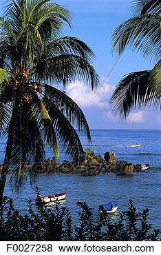 Stock Photo - seychelles, praslin, 
costal landscape. 
fotosearch - search 
stock photos, 
pictures, images, 
and photo clipart