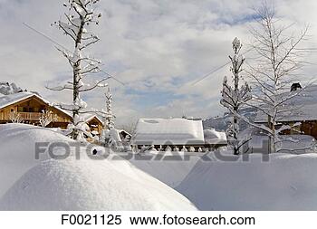 图片银行 - 法国, 阿尔卑斯山脉, megeve, 瑞士农