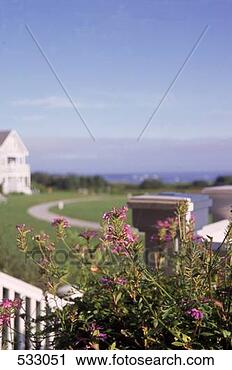 Stock Photography - inn by the sea 
 cape elizabeth 
 portland  me. 
fotosearch - search 
stock photos, 
pictures, images, 
and photo clipart