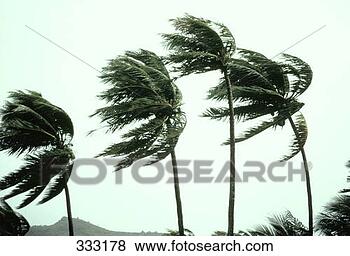 Stock Photo - tropical hurricane 
 wena041. fotosearch 
- search stock 
photos, pictures, 
images, and photo 
clipart