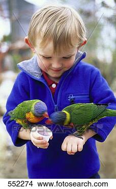 Stock Photo - young boy feeding 
birds. fotosearch 
- search stock 
photos, pictures, 
images, and photo 
clipart