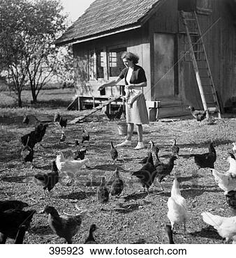 Stock Photo - a woman feeding 
the birds  c 1940. 
fotosearch - search 
stock photos, 
pictures, images, 
and photo clipart