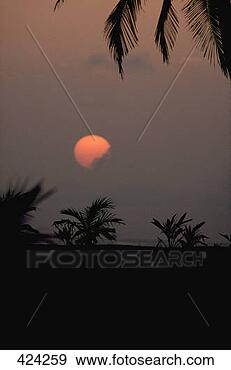 Stock Photograph - sunset  beach 
at grand lahou 
 cote d'ivoire. 
fotosearch - search 
stock photos, 
pictures, images, 
and photo clipart