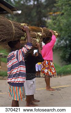 Stock Photography - children transporting, 
mbabane, swaziland. 
fotosearch - search 
stock photos, 
pictures, images, 
and photo clipart