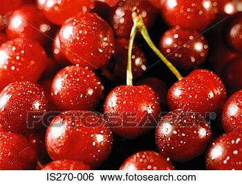 Stock Photo - fresh cherries. 
fotosearch - search 
stock photos, 
pictures, images, 
and photo clipart
