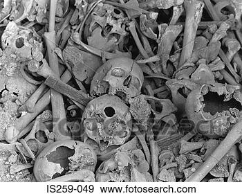 Stock Photograph - human skulls and 
bones. fotosearch 
- search stock 
photos, pictures, 
images, and photo 
clipart