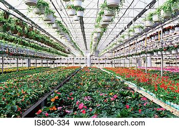Stock Photo - industrial greenhouse. 
fotosearch - search 
stock photos, 
pictures, images, 
and photo clipart