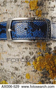 Stock Photograph - close-up of a 
belt tied to a 
tree trunk. fotosearch 
- search stock 
photos, pictures, 
images, and photo 
clipart