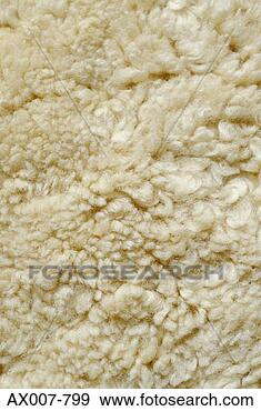 Stock Photograph - close-up of a 
rug. fotosearch 
- search stock 
photos, pictures, 
images, and photo 
clipart