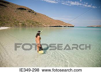 Stock Photo - female snorkeler 
in the sea. fotosearch 
- search stock 
photos, pictures, 
images, and photo 
clipart