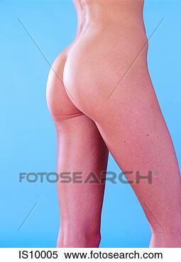 Stock Image - bottom. fotosearch 
- search stock 
photos, pictures, 
images, and photo 
clipart