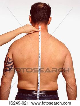 Stock Photography - measuring along 
male back. fotosearch 
- search stock 
photos, pictures, 
images, and photo 
clipart