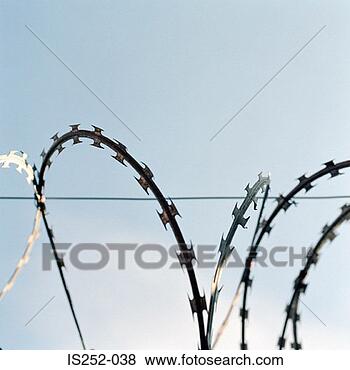Stock Photo - barbed wire. fotosearch 
- search stock 
photos, pictures, 
images, and photo 
clipart