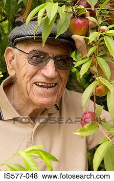 Stock Photo - older man with 
apple tree. fotosearch 
- search stock 
photos, pictures, 
images, and photo 
clipart