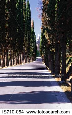 Stock Photo - empty road toward 
church. fotosearch 
- search stock 
photos, pictures, 
images, and photo 
clipart