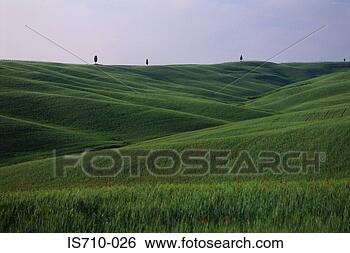 Stock Photo - grassy hill and 
horizon. fotosearch 
- search stock 
photos, pictures, 
images, and photo 
clipart