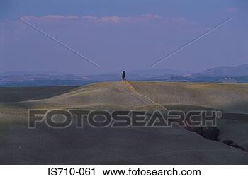Stock Photography - single tree in 
field. fotosearch 
- search stock 
photos, pictures, 
images, and photo 
clipart