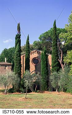 Stock Image - small house surrounded 
by conifers. fotosearch 
- search stock 
photos, pictures, 
images, and photo 
clipart