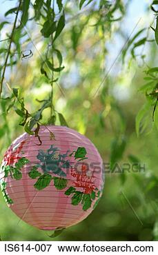 Picture - paper lampshade 
among leaves. 
fotosearch - search 
stock photos, 
pictures, images, 
and photo clipart