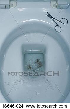 Stock Photo - pubic hair in 
a toilet bowl. 
fotosearch - search 
stock photos, 
pictures, images, 
and photo clipart