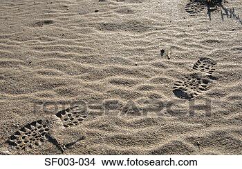 Stock Photo - footprints in 
the sand. fotosearch 
- search stock 
photos, pictures, 
images, and photo 
clipart