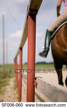 Stock Photography - horse and rider. 
fotosearch - search 
stock photos, 
pictures, images, 
and photo clipart
