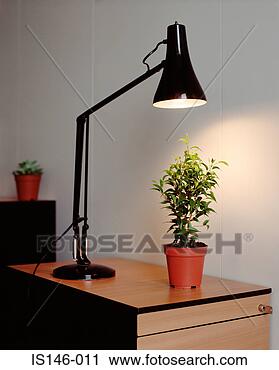 Stock Photography - plant and desk 
lamp in office. 
fotosearch - search 
stock photos, 
pictures, images, 
and photo clipart