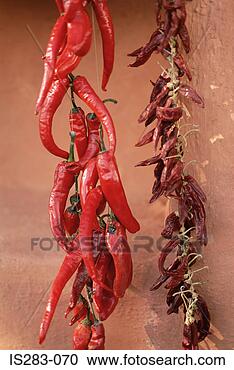 Stock Photography - drying and dried 
chillies. fotosearch 
- search stock 
photos, pictures, 
images, and photo 
clipart