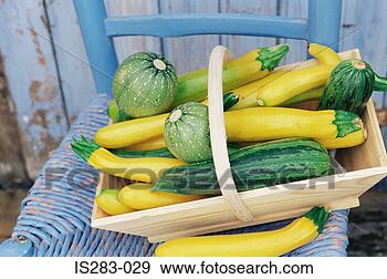 Stock Photograph - green and yellow 
courgettes. fotosearch 
- search stock 
photos, pictures, 
images, and photo 
clipart