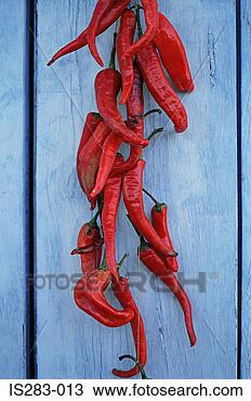 Stock Photo - red peppers drying. 
fotosearch - search 
stock photos, 
pictures, images, 
and photo clipart