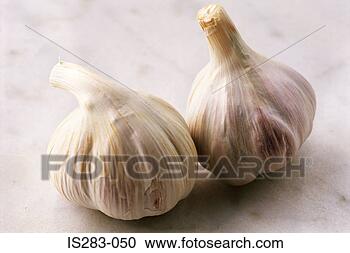 Stock Photography - two bulbs of garlic. 
fotosearch - search 
stock photos, 
pictures, images, 
and photo clipart