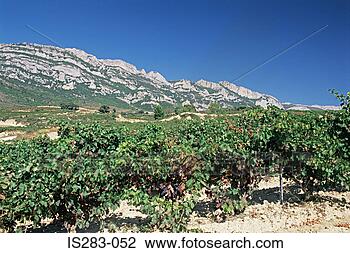 Stock Photo - wine region of 
la rioja. fotosearch 
- search stock 
photos, pictures, 
images, and photo 
clipart
