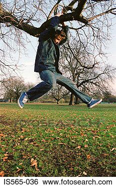 Stock Photo - man hanging on 
tree branch. fotosearch 
- search stock 
photos, pictures, 
images, and photo 
clipart