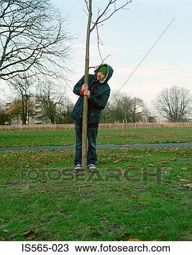 Stock Photo - man holding tree 
trunk in park. 
fotosearch - search 
stock photos, 
pictures, images, 
and photo clipart